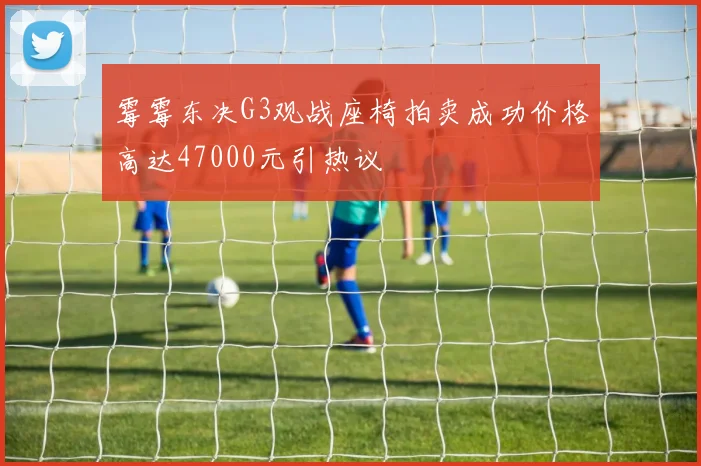 霉霉东决G3观战座椅拍卖成功价格高达47000元引热议